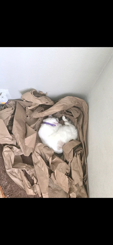 Image uploaded by Julio