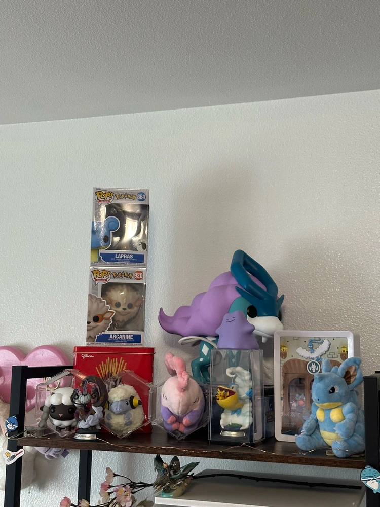 Image uploaded by Sammi