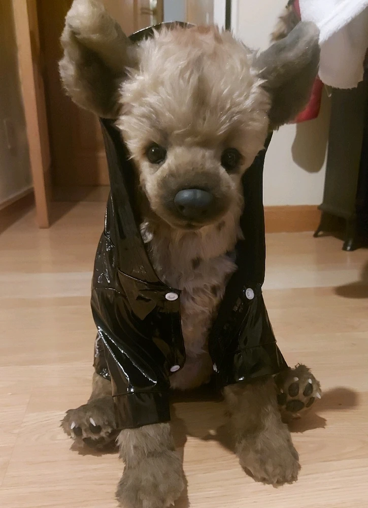 Image uploaded by Mermi