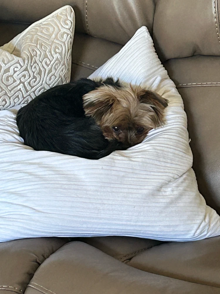 GIF uploaded by Gabe