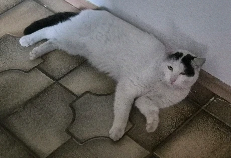 GIF hochgeladen von Elli