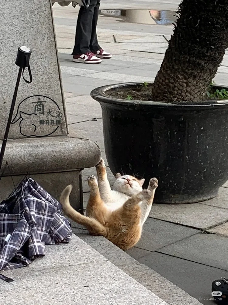 GIF uploaded by Gaspar