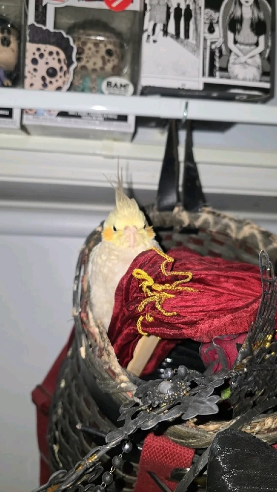 GIF uploaded by Sarah