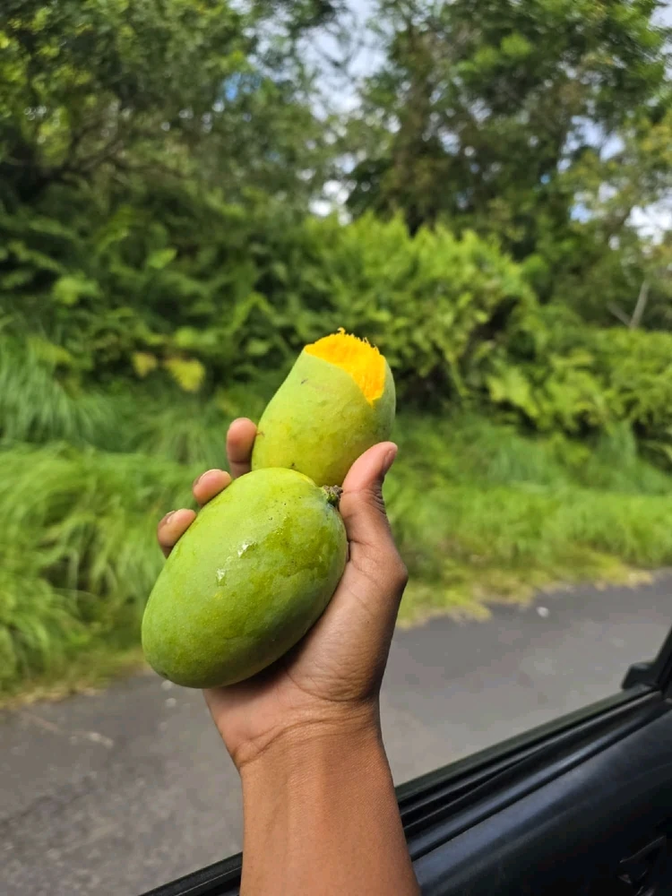 Kim上传的GIF
