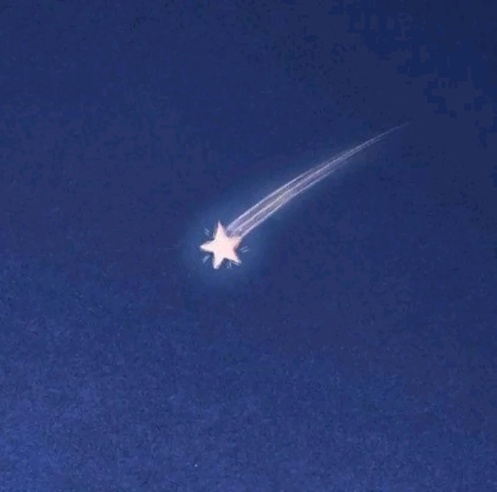 GIF uploaded by ❤ Sophia aka Mango Mami ❤️