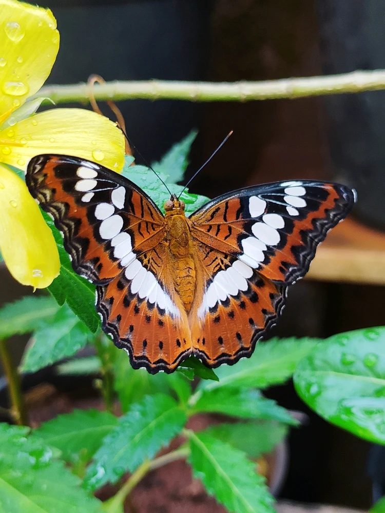 GIF uploaded by sebastian