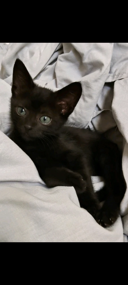 GIF uploaded by Monique