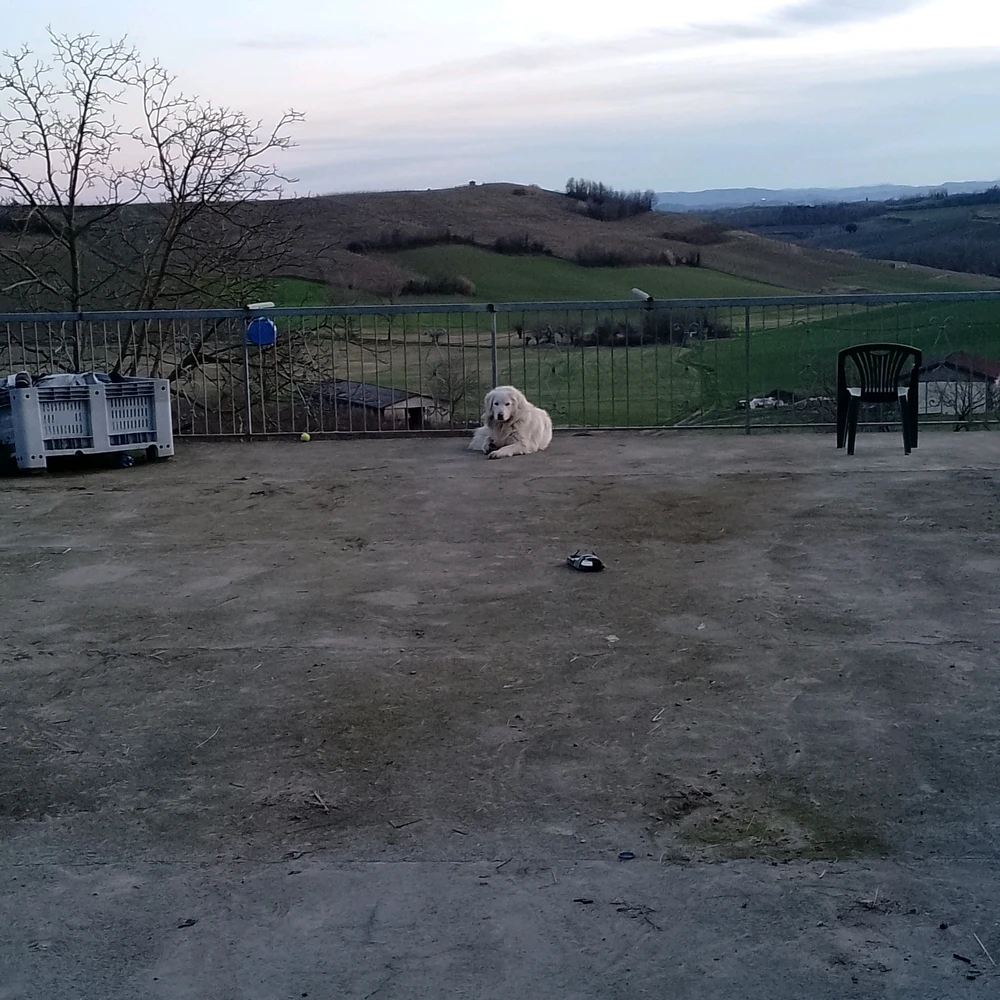GIF caricata da Roberto