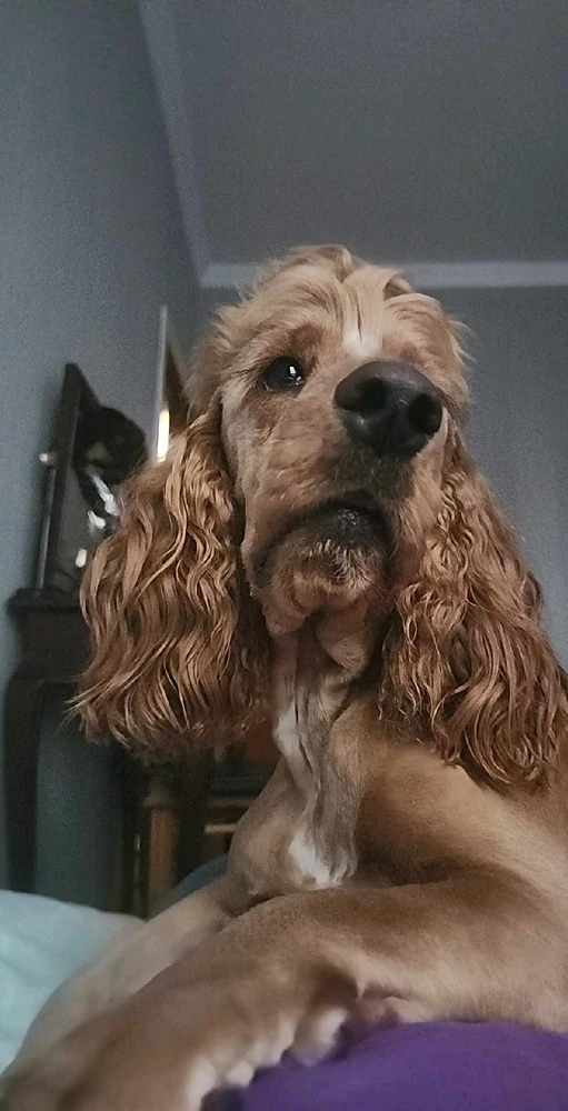 GIF uploaded by Tsotne