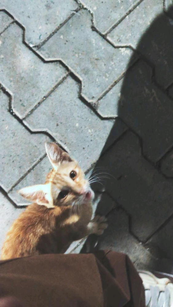 GIF uploaded by Ronny