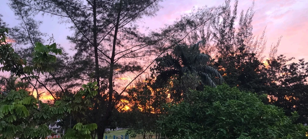 Image uploaded by 𝕾𝖙𝖊𝖕𝖍𝖊𝖓𝖎𝖊