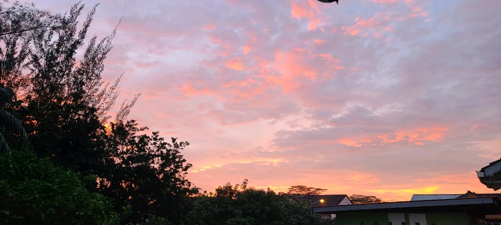 Image uploaded by 𝕾𝖙𝖊𝖕𝖍𝖊𝖓𝖎𝖊