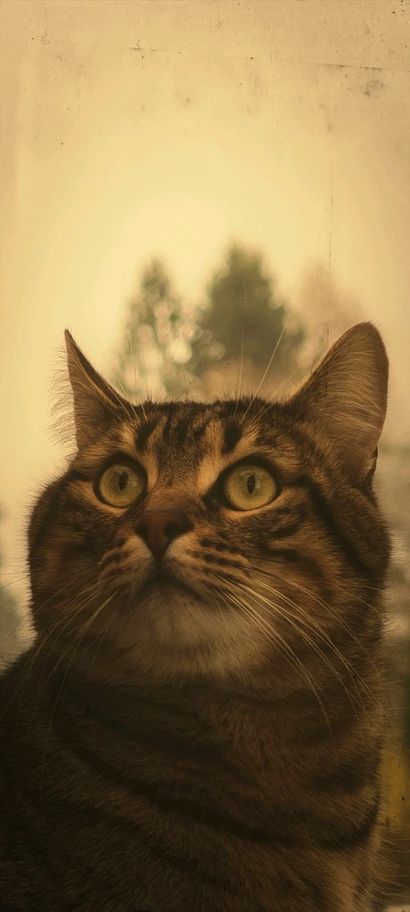 GIF загрузил Boriss