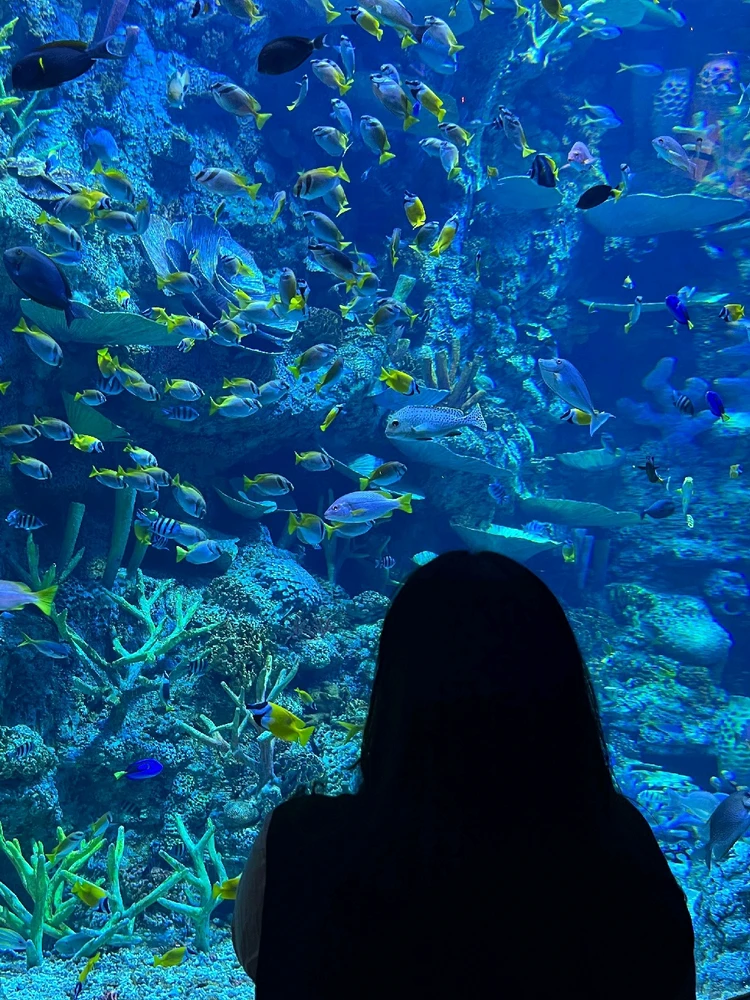 Gambar diunggah ku Cystenn