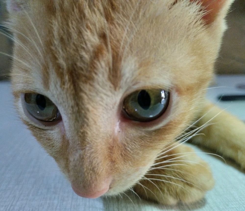Image uploaded by Hana