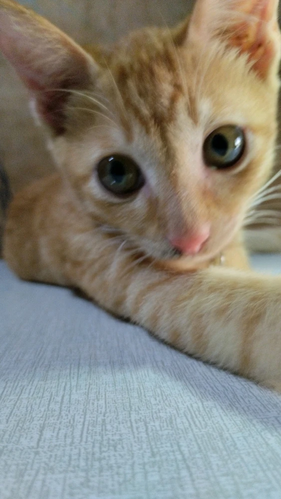 Image uploaded by Hana