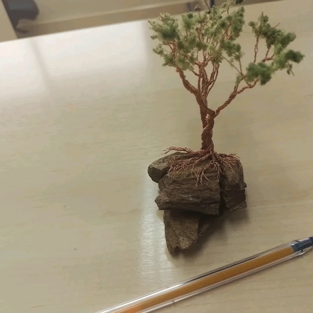 Imagem enviada por Flavio