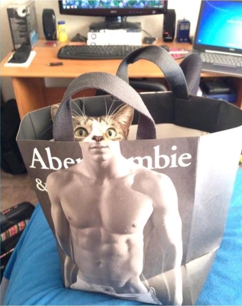 Image ajoutée par Matthieu