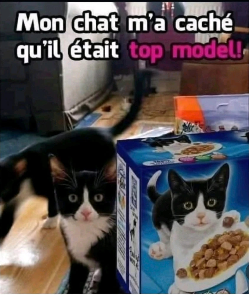 Image ajoutée par Matthieu