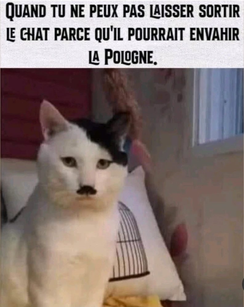 Image ajoutée par Matthieu