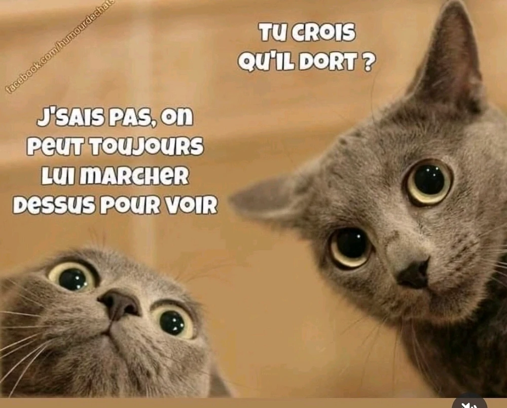 Image ajoutée par Matthieu