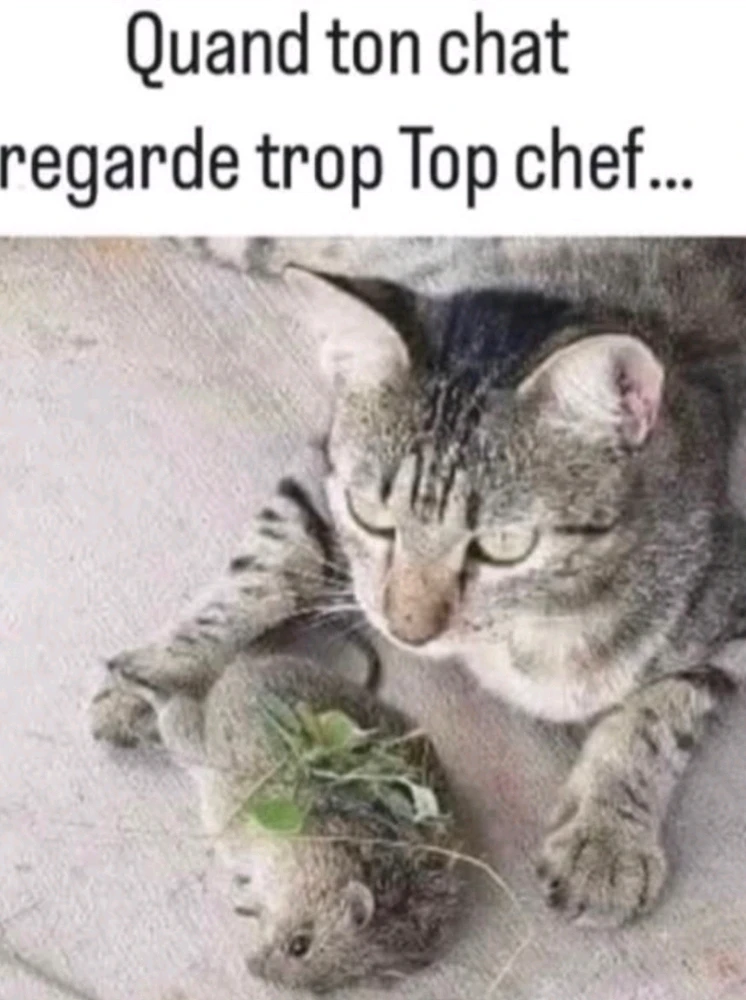 Image ajoutée par Matthieu