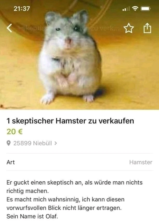 GIF hochgeladen von Kivi