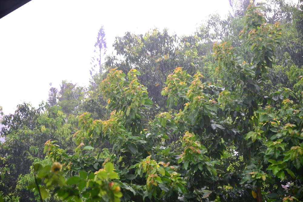 GIF uploaded by S