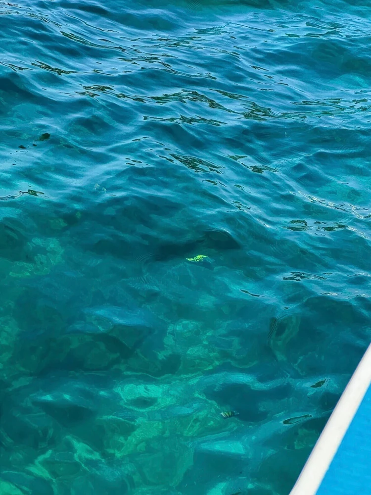 Image uploaded by May