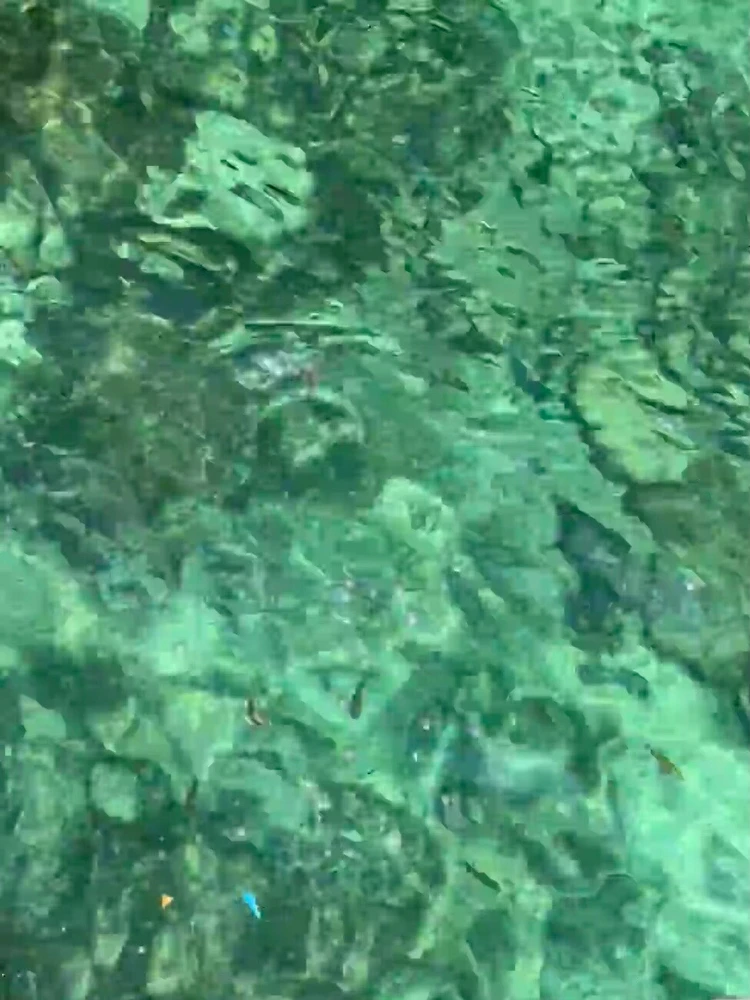 Image uploaded by May