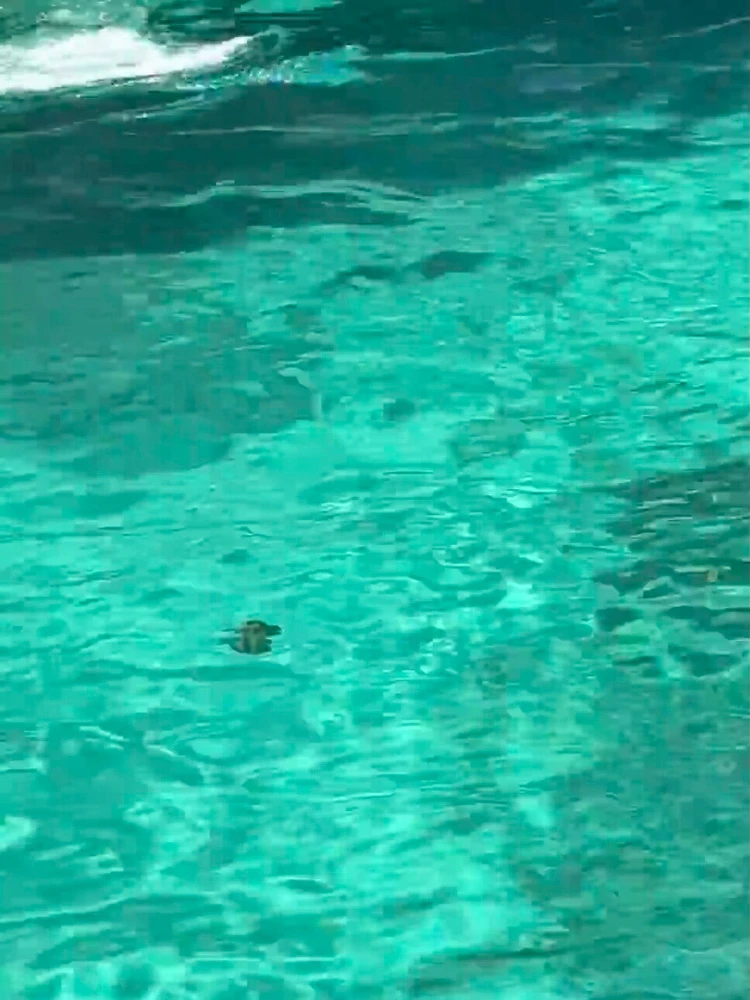 Image uploaded by May