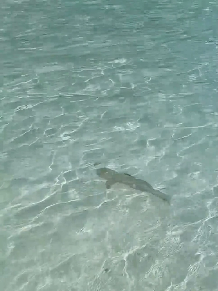 Image uploaded by May