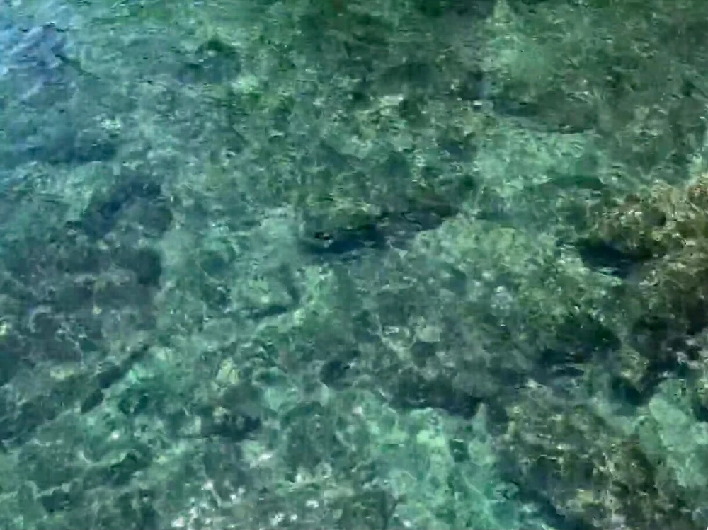 Image uploaded by May