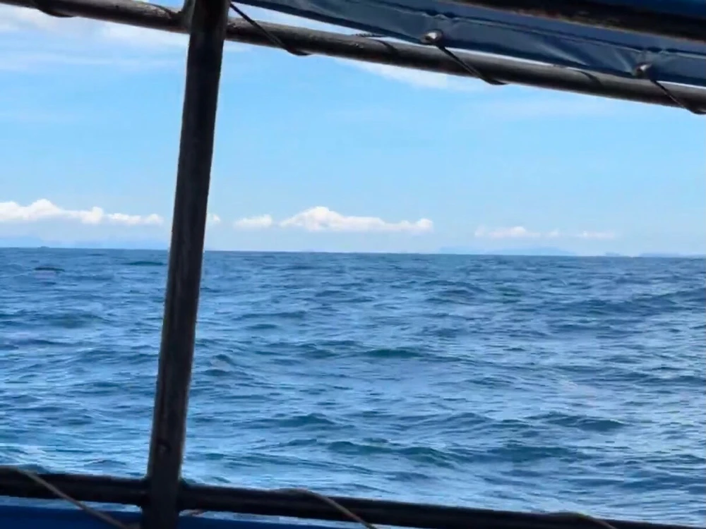 Image uploaded by May