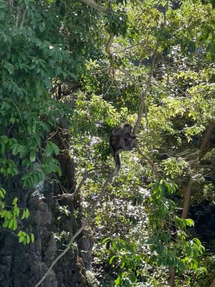 Image uploaded by May