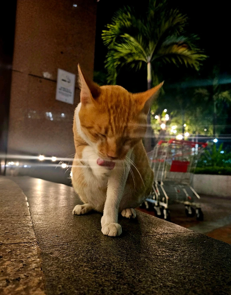 Image uploaded by AJ