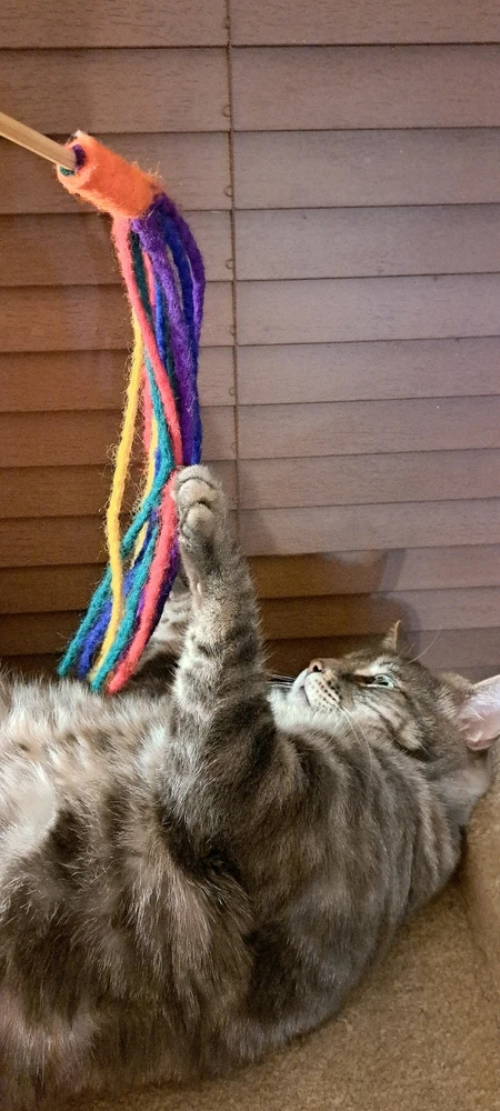 GIF uploaded by Jamie