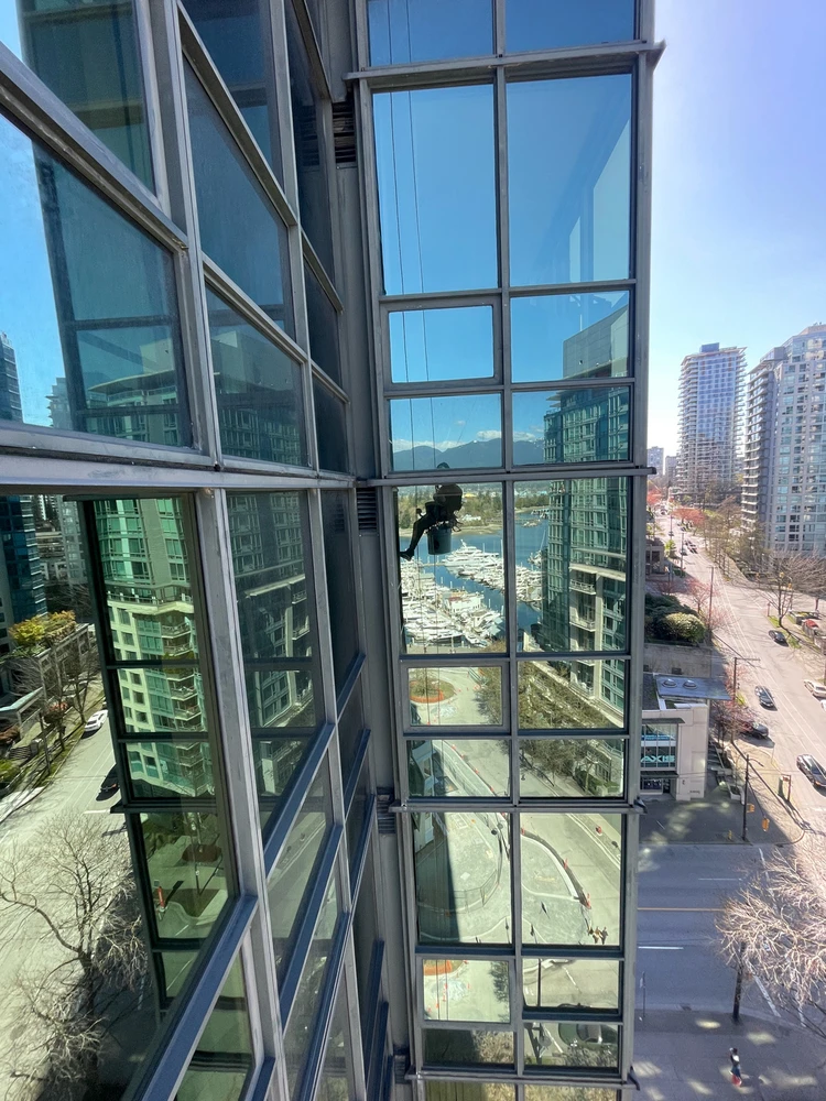 Image uploaded by Carlos