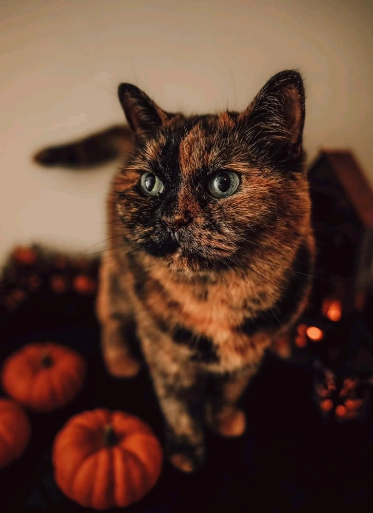 GIF uploaded by Heather