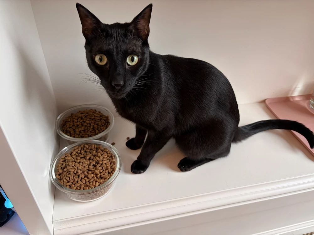 Image uploaded by Grace