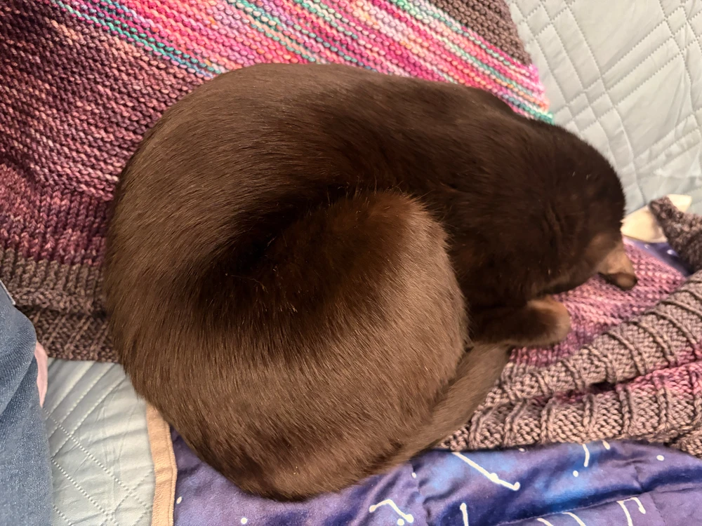 Image uploaded by Grace