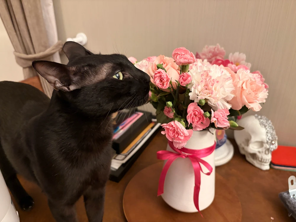 Image uploaded by Grace