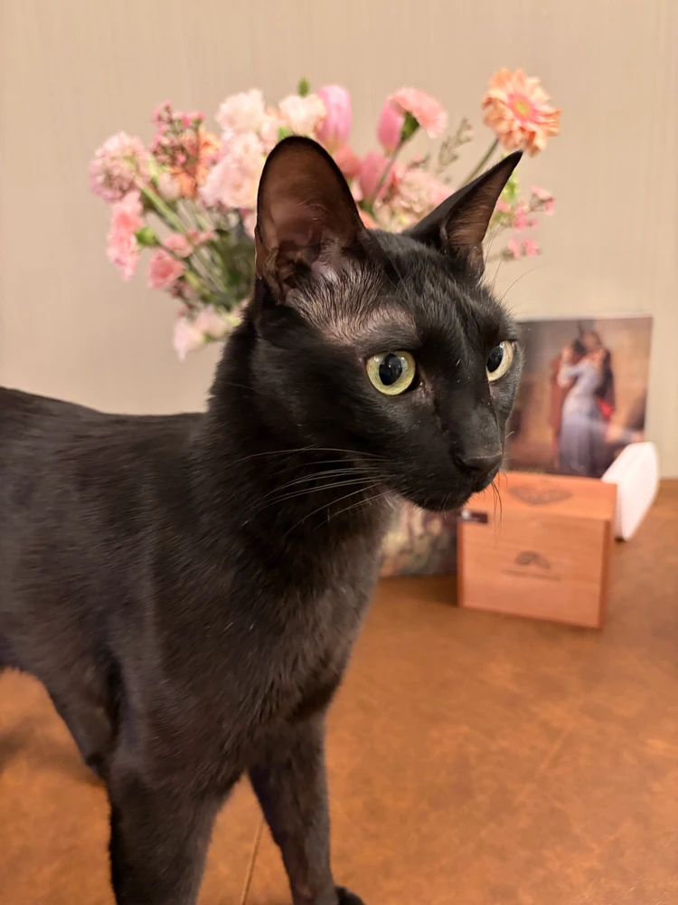 Image uploaded by Grace