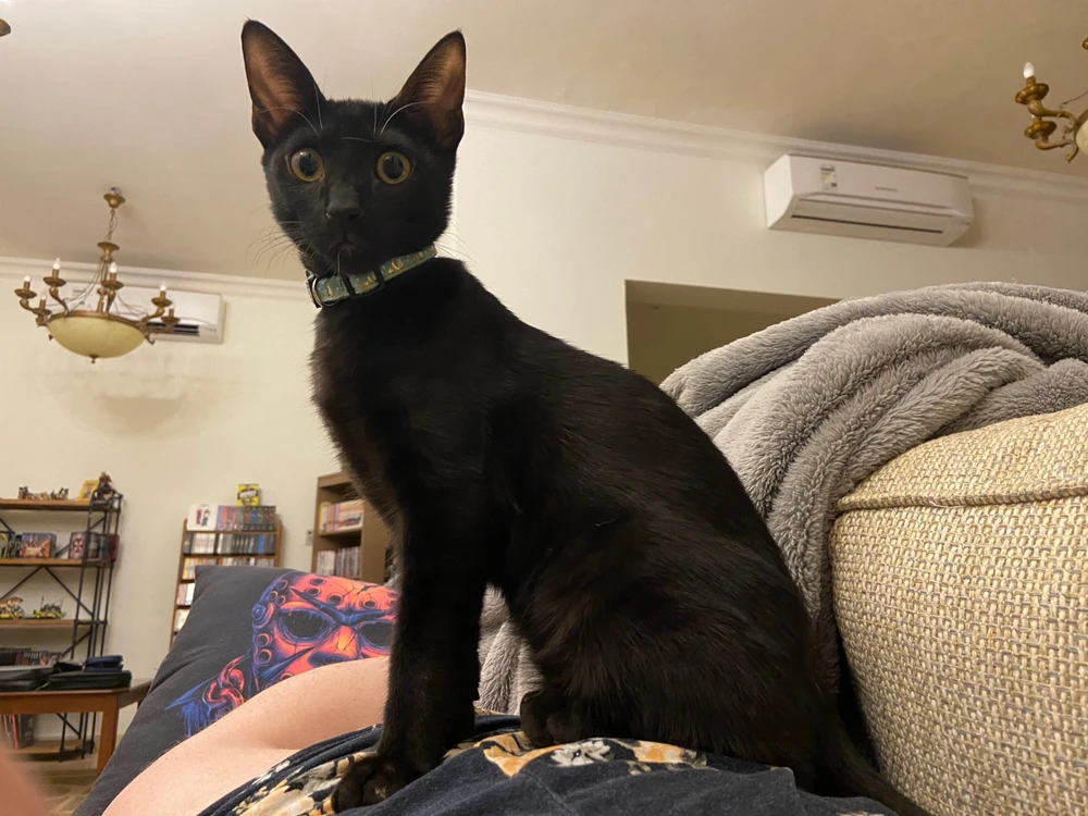 Image uploaded by Grace