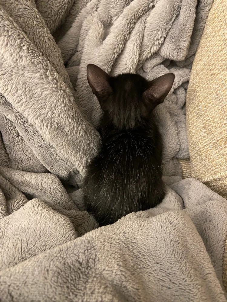 Image uploaded by Grace