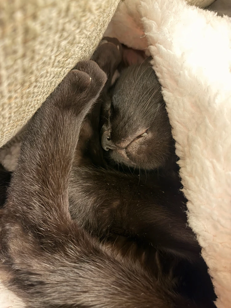 Image uploaded by Grace