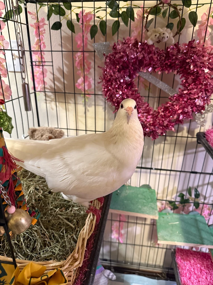 Image uploaded by Adrienne