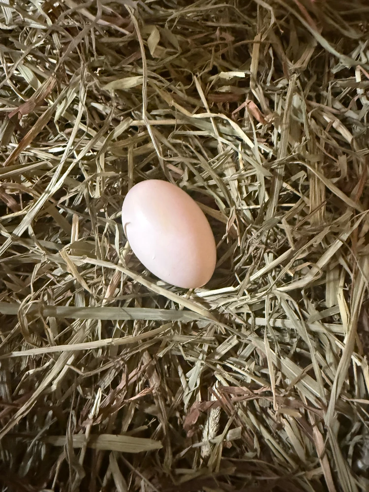 Image uploaded by Adrienne