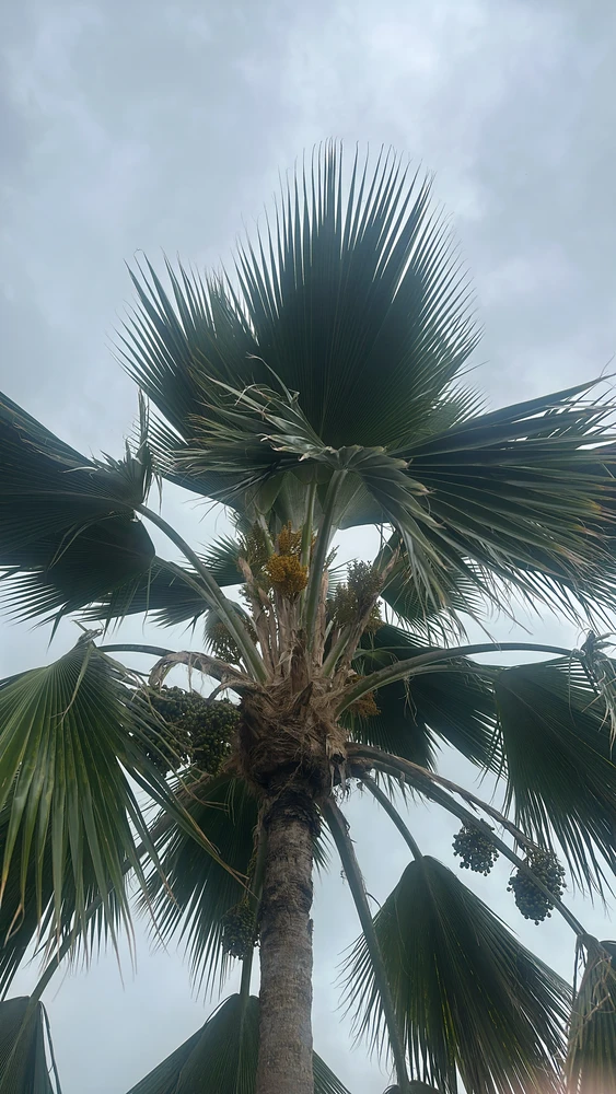 GIF uploaded by Carlos/Gigi