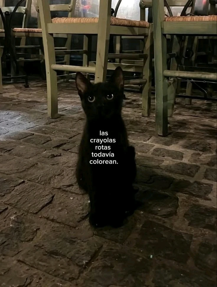 GIF subido por Daniel